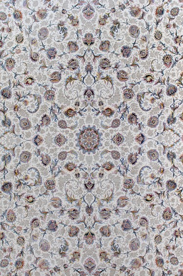45004-كرم روناسي-1*2
