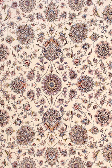 46001-كرم لاكي-2*3